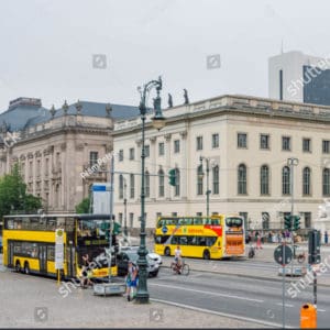 Gelbe Sightseeing Busse am Straßenrand, welche von Luisa's Place aus gebucht werden können