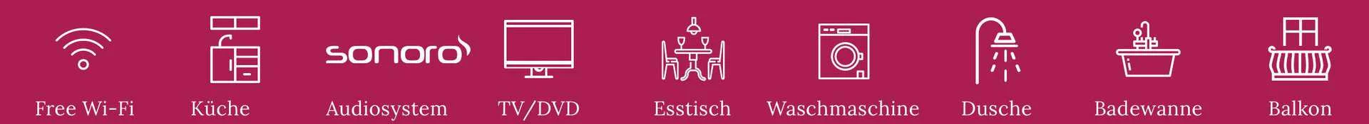 Verschiedene Icons für die Zimmerausstattungsmerkmale in weiß auf rotem Hintergrund