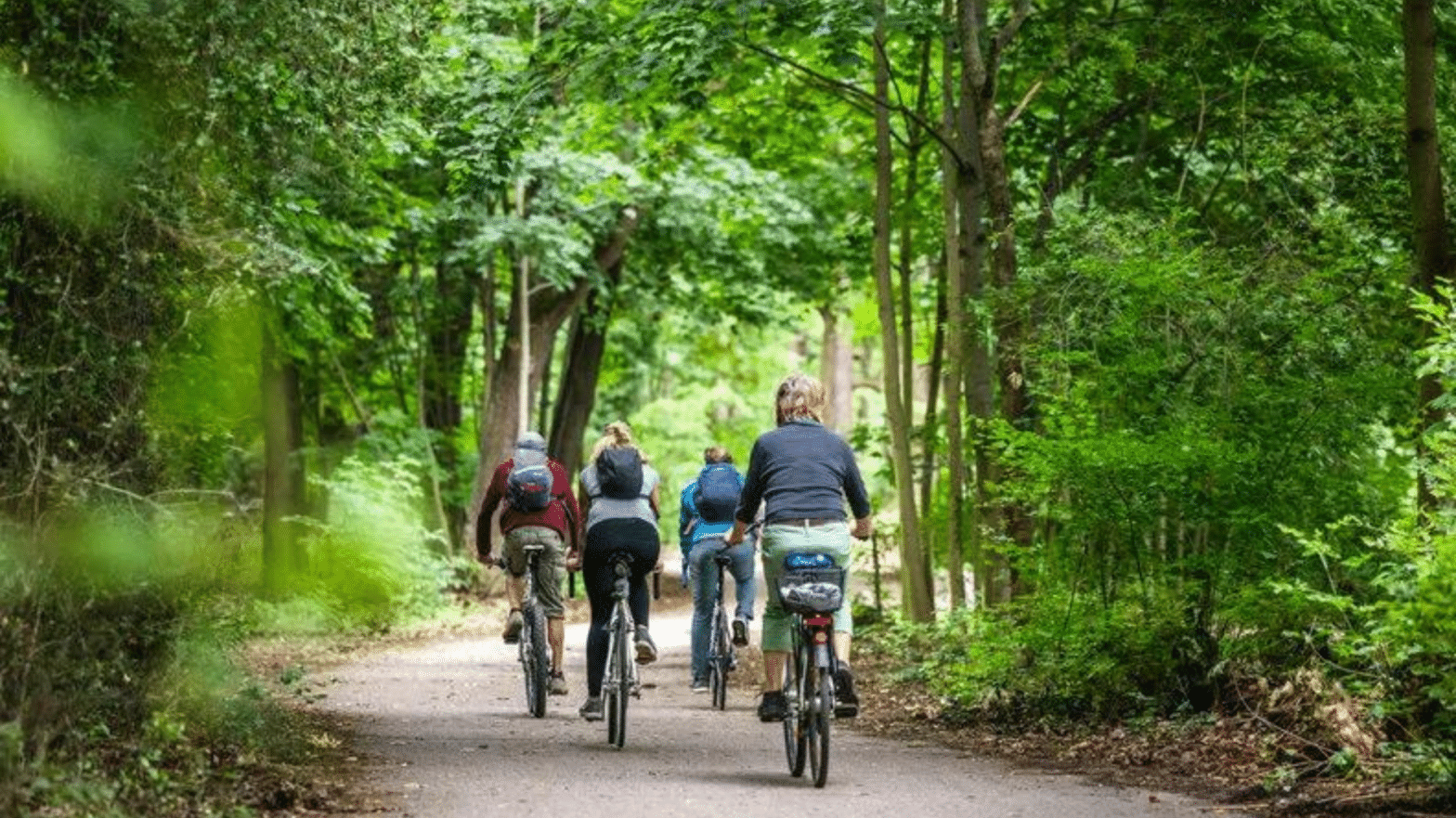 Vier Personen fahren mit Fahrrädern auf einem breiten Weg durch den Wald.