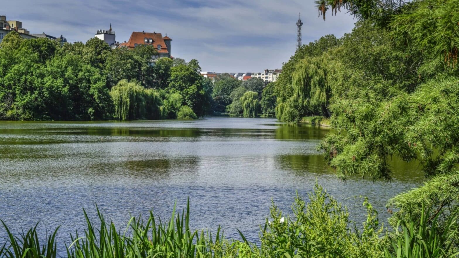 Aufnahme des Lietzensee in Berlin-CHarlottenburg. Der See, umgeben von grünen Bäumen. Im Hintergrund ist der Berliner Funkturm zu sehen.