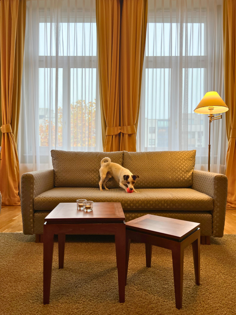 Hotelzimmer mit Hund bei Louisa's Place Berlin