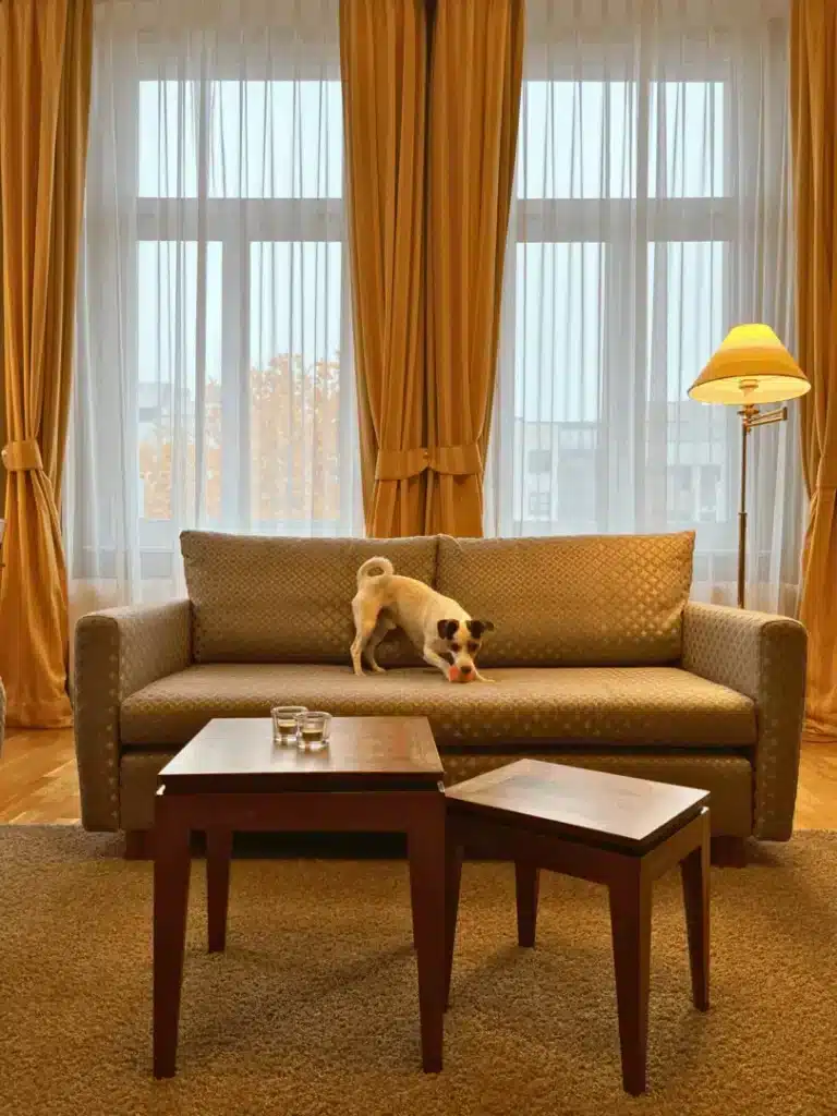 Hotelzimmer mit Hund bei Louisa's Place Berlin - Hotel mit Hund