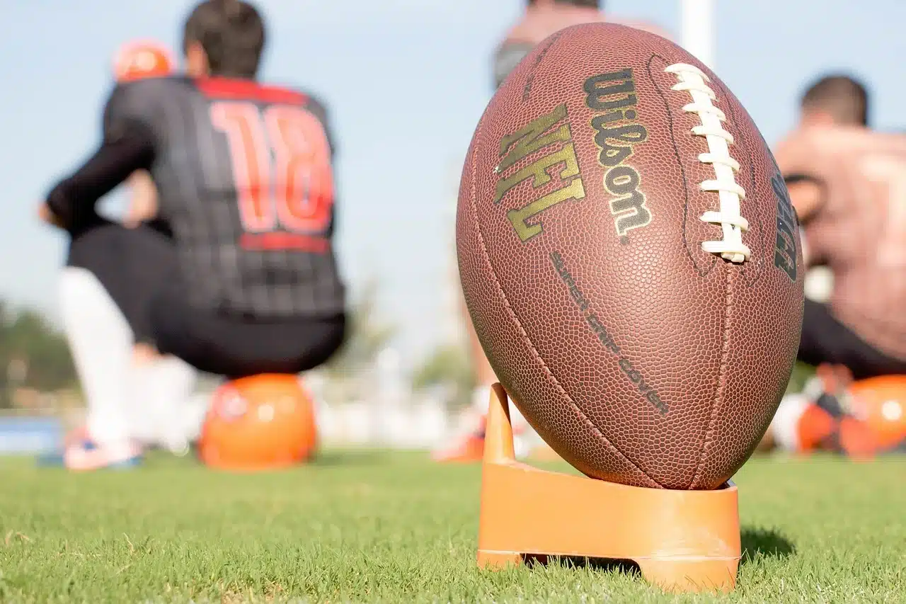 NFL Ball Wilson American Football